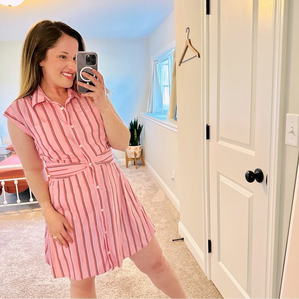 Derek Lam 10 Crosby Pink Striped Mini Dress 8